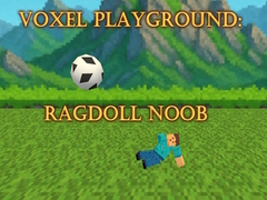 ເກມ Voxel Playground: Ragdoll Noob