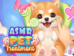 ເກມ ASMR Pet Treatment