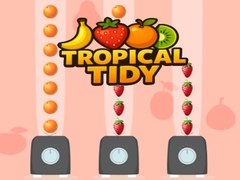 ເກມ Tropical Tidy