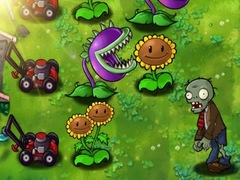 ເກມ Plants vs Zombies Limited Edition