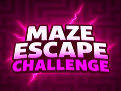 ເກມ Maze Escape Challenge