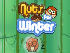 ເກມ Nuts For Winter