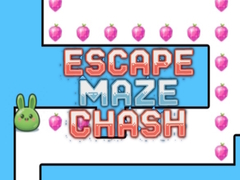ເກມ Escape Maze Chush