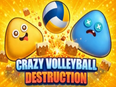 ເກມ Crazy Volleyball Destruction