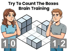 ເກມ Try To Count The Boxes Brain Training