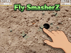ເກມ Fly SmasherZ