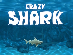 ເກມ Crazy Shark