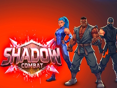 ເກມ Shadow Combat