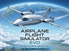 ເກມ Airplane Flight Simulator EVO