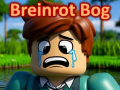 ເກມ Breinrot Bog