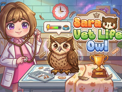 ເກມ Sara Vet Life Ep14: Owl