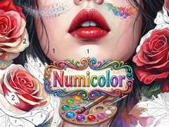 ເກມ Numicolor