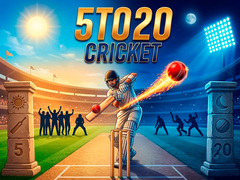 ເກມ 5TO20 Cricket