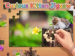 ເກມ Curious Kitten Jigsaw