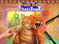 ເກມ Brush Cat Challenge 