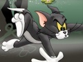 ເກມ Tom And Jerry Chase In Marsh
