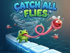 ເກມ Catch All Flies