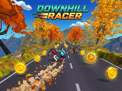 ເກມ Downhill Racer
