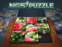 ເກມ NGS Puzzle