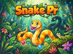 ເກມ Snake Pr