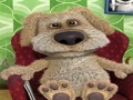 ເກມ Talking Ben the Dog