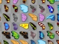 ເກມ Butterfly kyodai