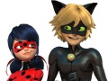 ເກມອອນ Ladybug ແລະ Super Cat 