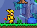 ເກມ Terraria 