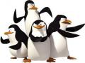 Penguins ຂອງ Madagascar ເກມ 