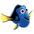 ຊອກຫາເກມ Dory ອອນໄລນ໌ 